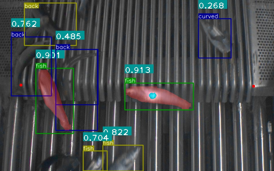 AI Fish Counter & Biomass Measurement for Aquaculture | Aqualytics